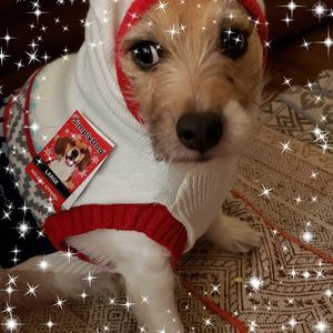 Meet your Posher, Paul